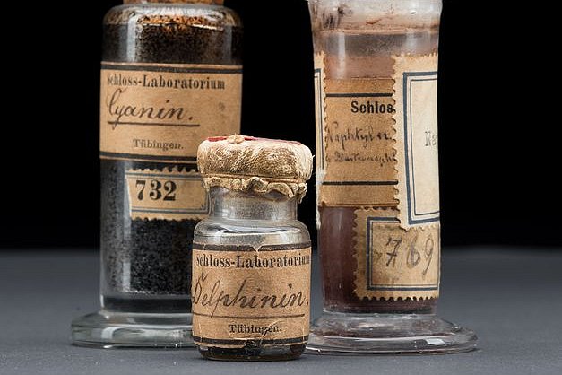Historische Präparate Foto: Historische Präparate © Museum der Universität Tübingen