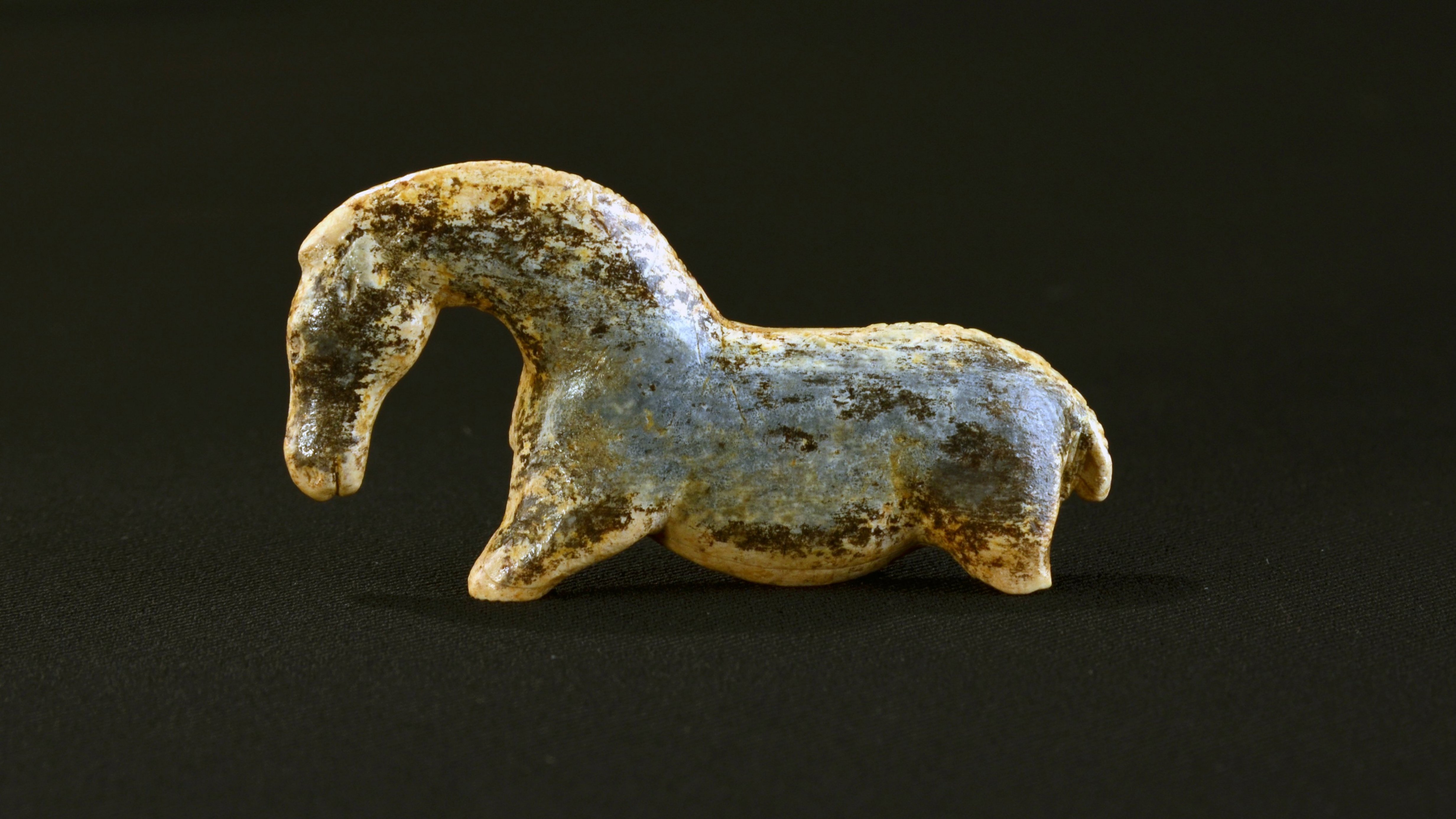 Mammoth ivory figurine of a horse, turned to the left with curved neck; the legs are only preserved rudimentarily