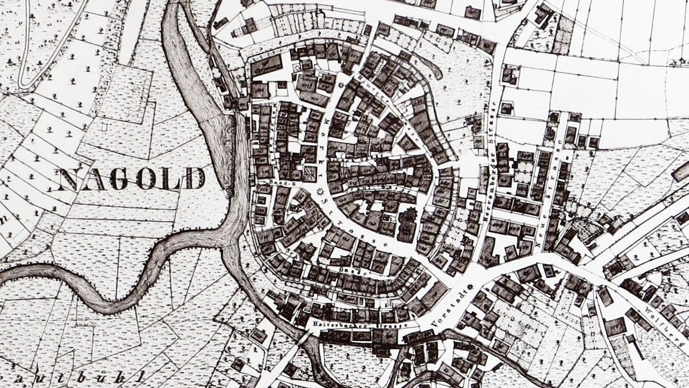 Historical cadastral map of Nagold, Württembergische Landesvermessung, 1836