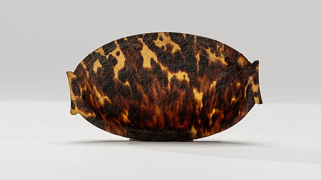 Photo: MUT | Valentin Marquardt Tortoiseshell bowl propped up on its long side