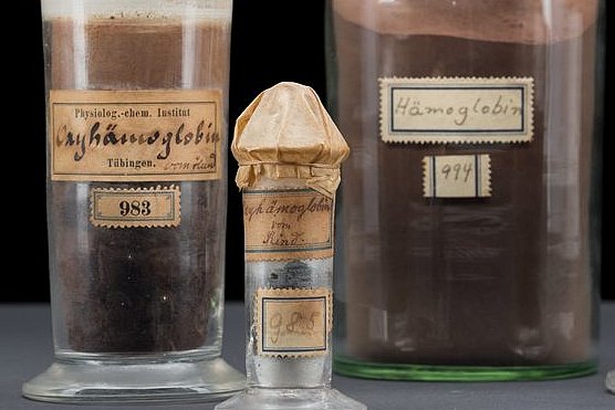 Hämoglobin-Präparate Abbildung: Hämoglobin-Präparate © Museum der Universität Tübingen