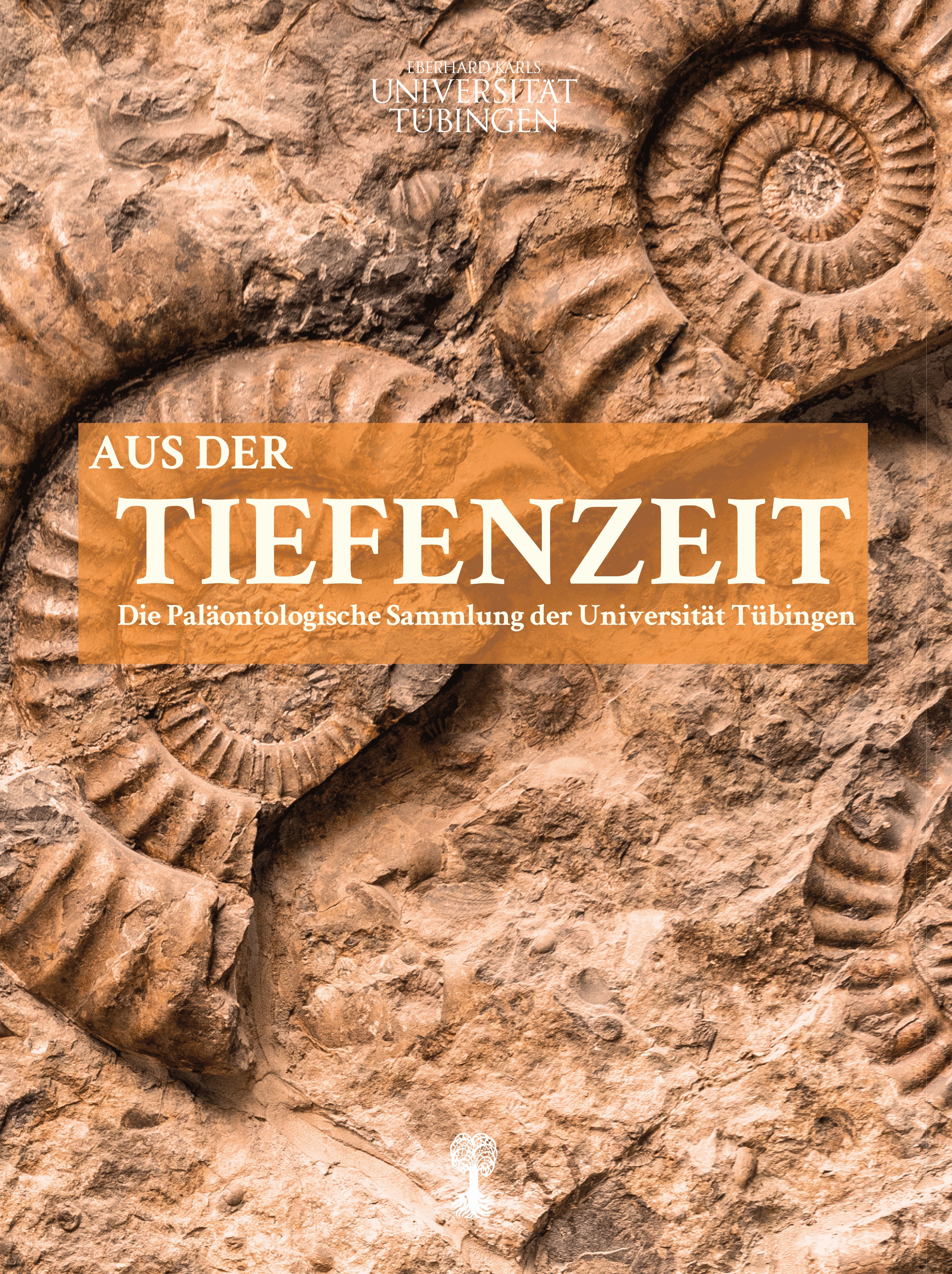 Cover "Aus der Tiefenzeit. Die Paläontologische Sammlung der Universität Tübingen" vor dem Hintergrund eines Ammonitenfossils