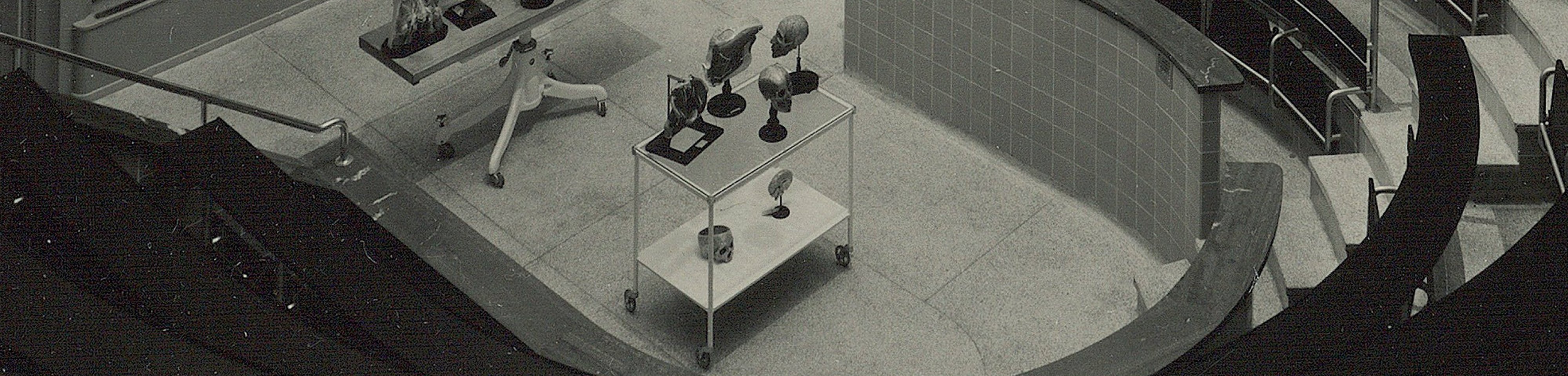 Black-and-white historical image showing part of a lecture hall with anatomical models in the center