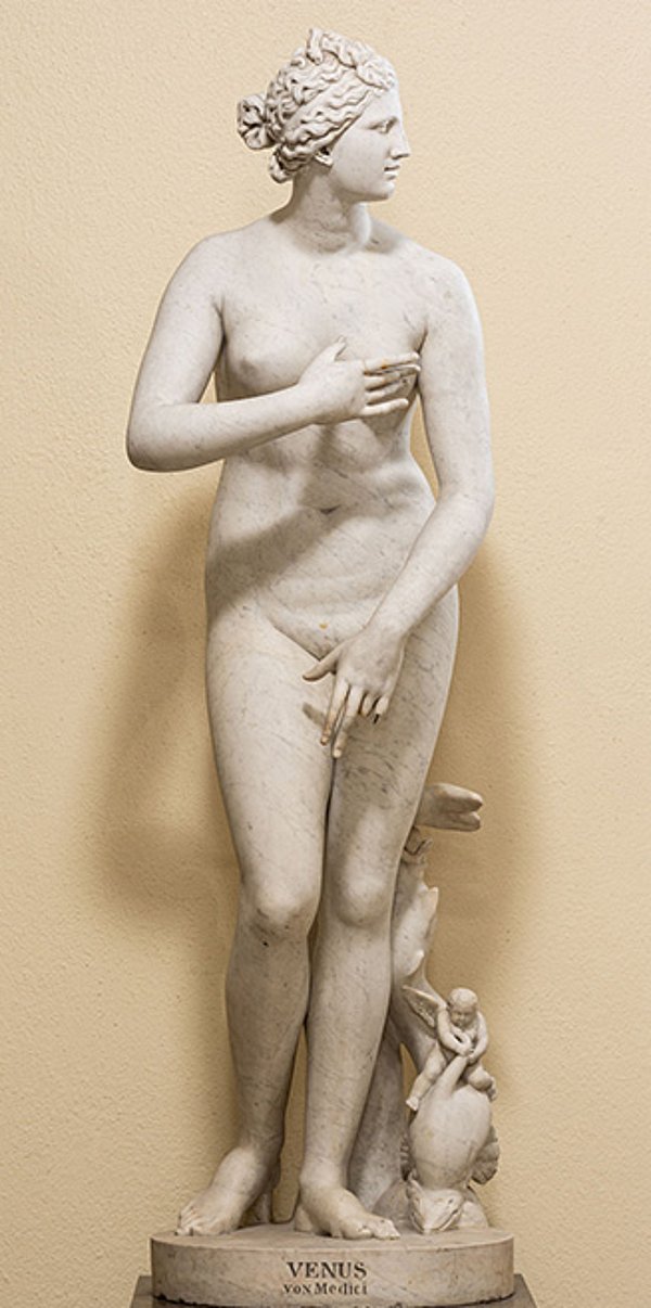 Foto: MUT | Valentin Marquardt Weiße Marmorstatue einer unbekleideten Venus im leichten Kontrapos, mit nach link gewandtem Kopf, die mit ihren Händen Brust und Scham bedeckt