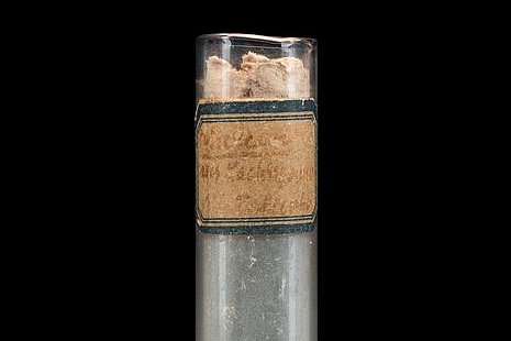 The Discovery of Nucleic Acid Foto: Entdeckung der Nukleinsäure © Museum der Universität Tübingen