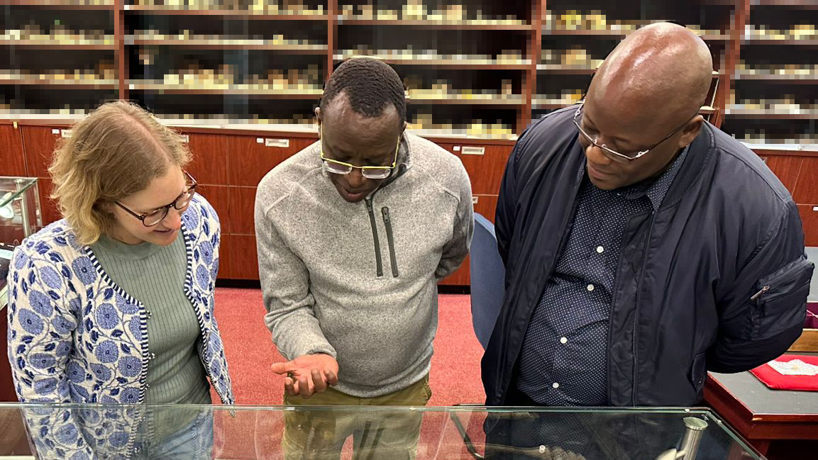 Dr. des Annika Vosseler, Dr. Job Kibii, Dr. Sifelani Jirah beugen sich zu einer Glasvitrine herunter, deren oberer Rand zu sehen ist. Im Hintergrund sind verpixelte Regale