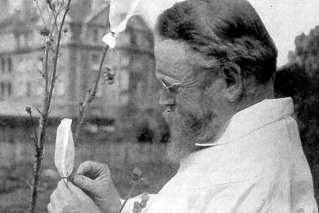 Carl Correns in seinem Versuchsgarten Foto: Carl Correns in seinem Versuchsgarten © Museum der Universität Tübingen