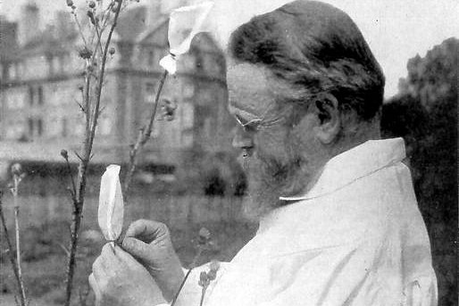 Carl Correns in seinem Versuchsgarten Foto: Carl Correns in seinem Versuchsgarten © Museum der Universität Tübingen