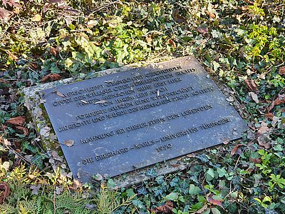 Memorial plaque on the cemetery X in Tübingen © MUT | Kühner