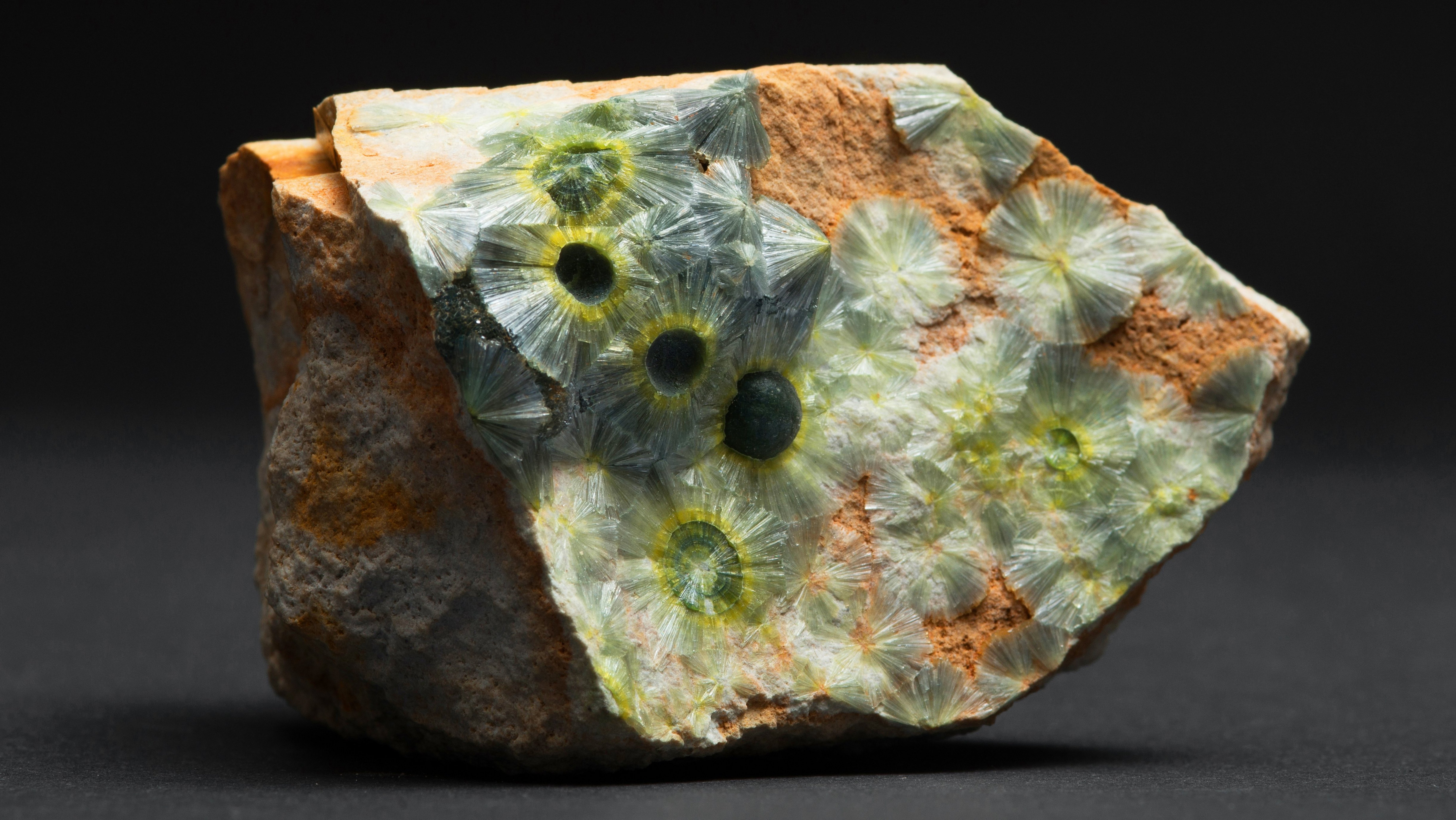 Abbildung: Mineralogische Sammlung © Museum der Universität Tübingen/Valentin Marquardt