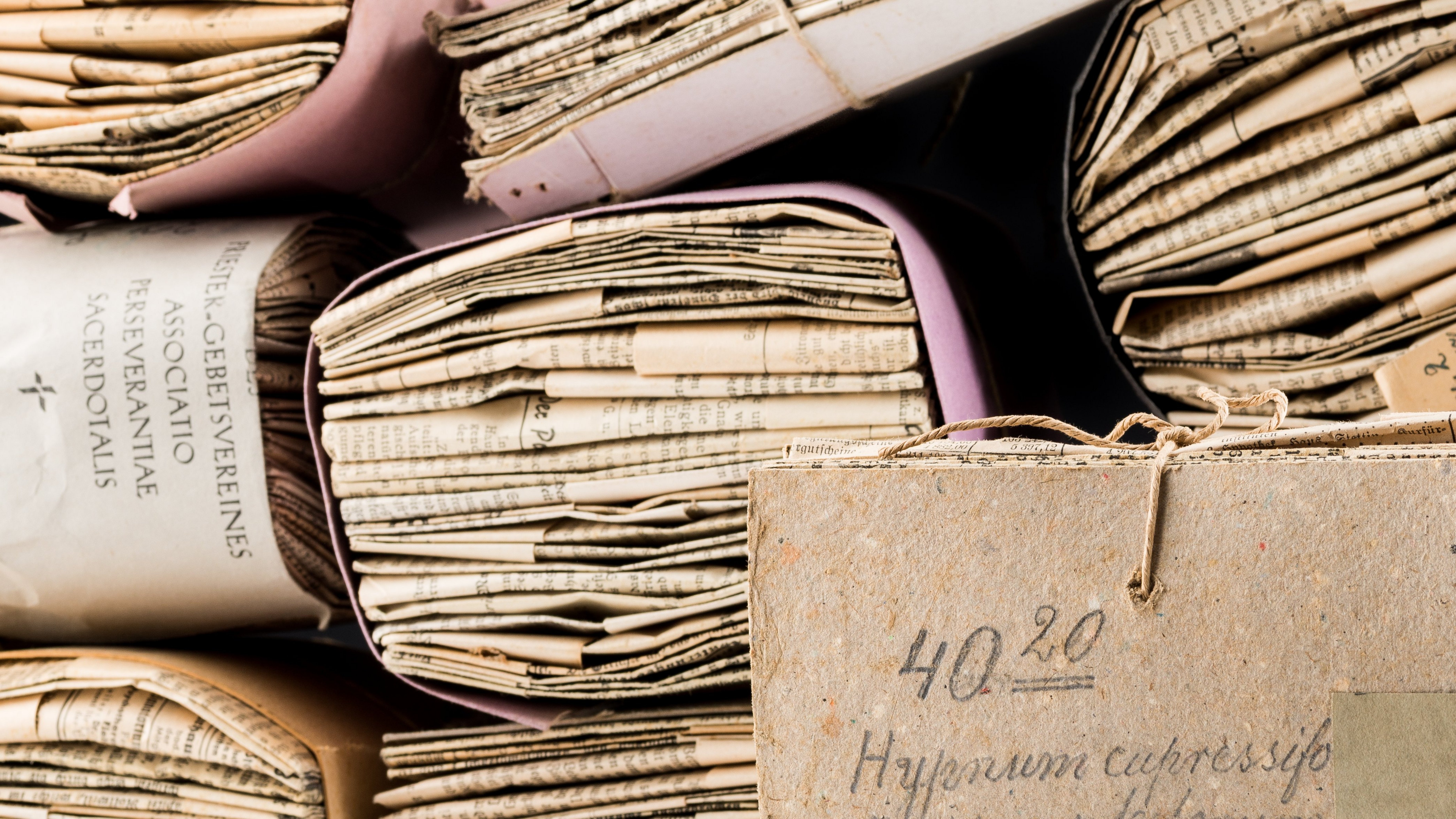 Herbarium bundle from the former monastery of Beuron