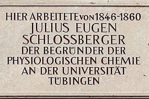 Gedenktafel für Schloßberger Foto: Gedenktafel für Schloßberger © Museum der Universität Tübingen/ Hedwig Storch, CC BY-SA